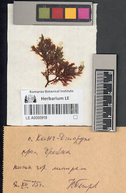 LE A0000918