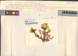 LE A0001048