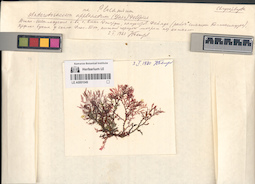 LE A0001049