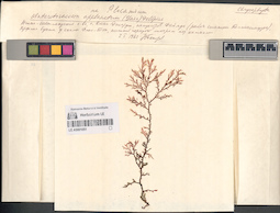 LE A0001051