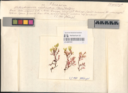LE A0001052