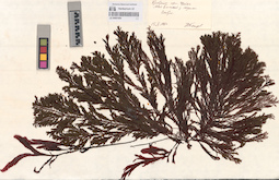 LE A0001054