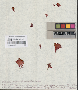 LE A0001057