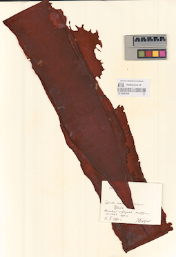 LE A0001059