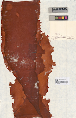 LE A0001060