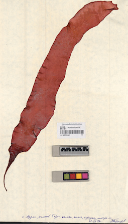 LE A0001061
