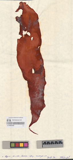 LE A0001062