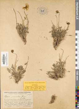 LE 01035162