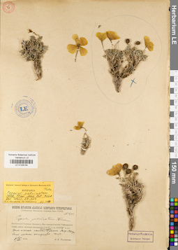 LE 01035164