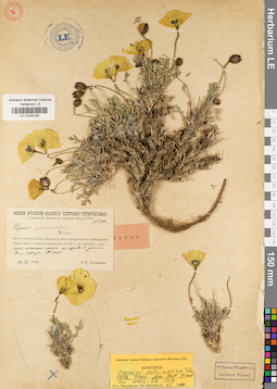 LE 01035165