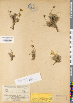 LE 01035167