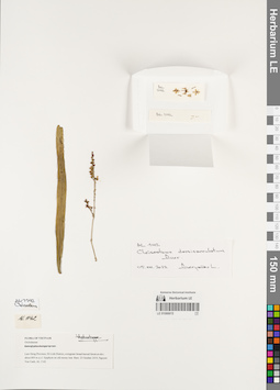 LE 01066615