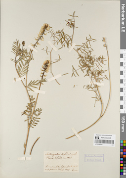 LE 01082536