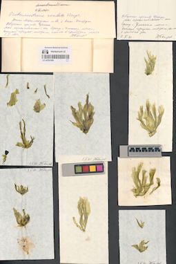 LE A0001069