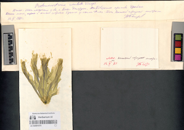 LE A0001070