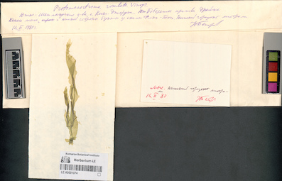 LE A0001074