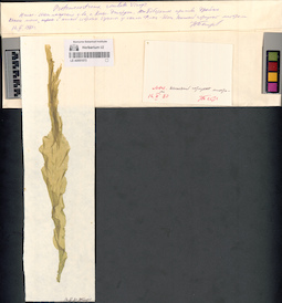 LE A0001073