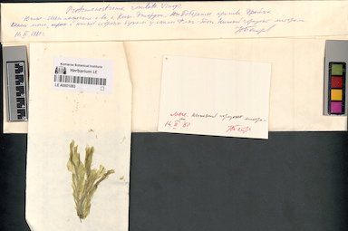 LE A0001083