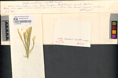 LE A0001084