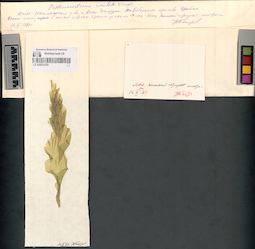 LE A0001079