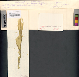 LE A0001081