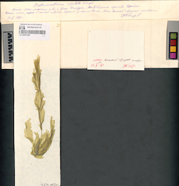 LE A0001080