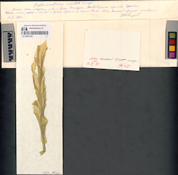 LE A0001082