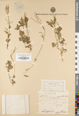 LE 01037194