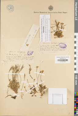 LE 01037196