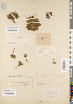 LE 01037198