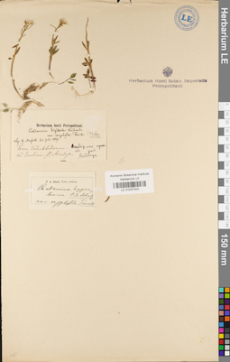 LE 01037203