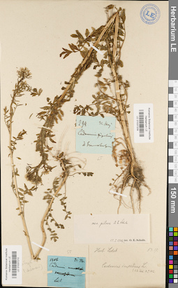 LE 01037210