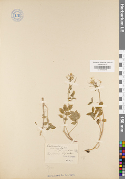 LE 01037219