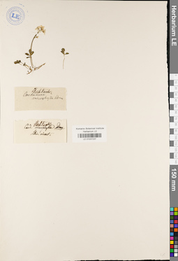 LE 01037237