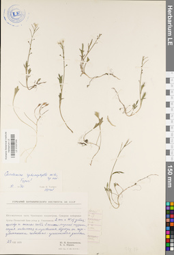 LE 01037249