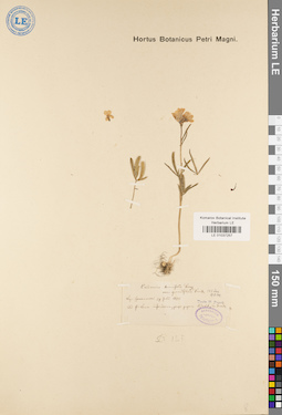 LE 01037257