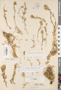 LE 01037279