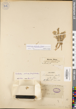 LE 01037283
