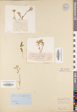 LE 01037236