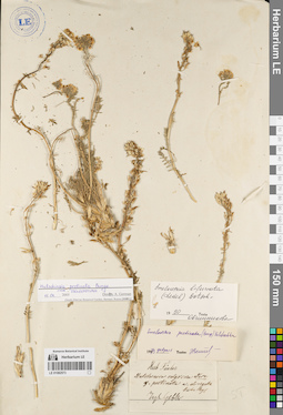 LE 01082573