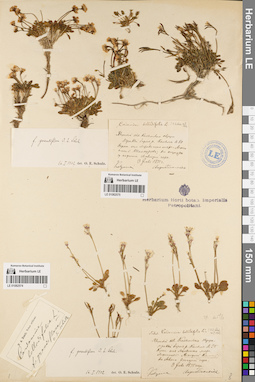 LE 01082575