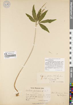 LE 01082578