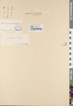 LE 01082580