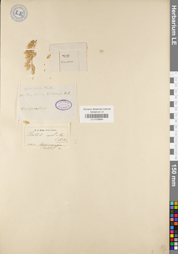 LE 01036894