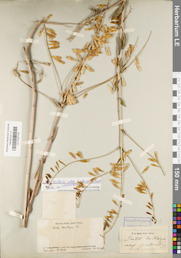 LE 01037104