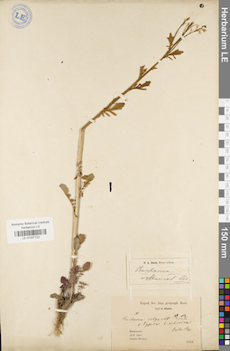 LE 01037122
