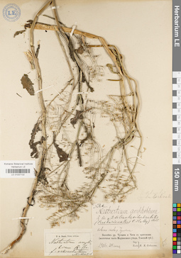 LE 01037132