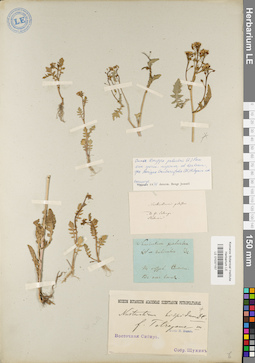 LE 01037157