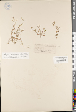 LE 01037170
