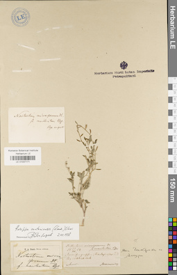 LE 01037171